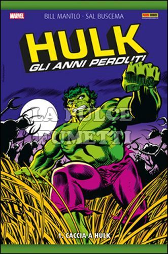 HULK - GLI ANNI PERDUTI #     1: CACCIA A HULK